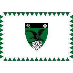 Tatabánya zászló 40x60cm