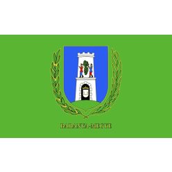 Baranya vármegye zászló 40x60cm