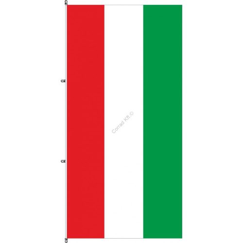 Karabineres álló Magyar zászló