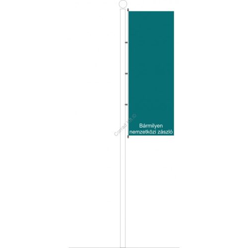 Karabineres álló Tuvalu  nemzeti zászló