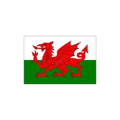 Wales nemzeti zászló 40x60cm