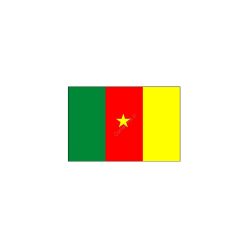 Kamerun nemzeti zászló 40x60cm