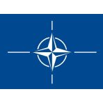 Szervezetek zászlói