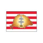 Történelmi zászló